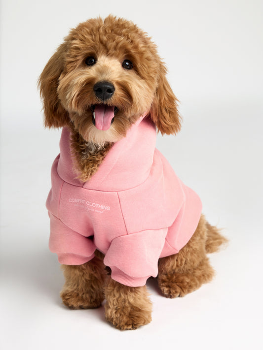Coral Blush / Theo