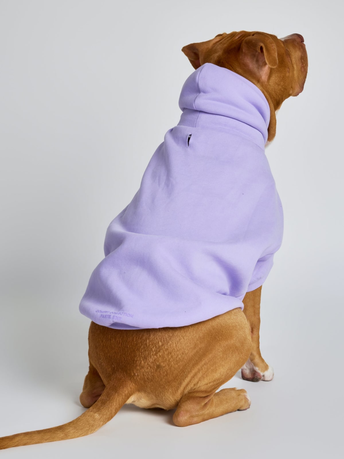 Pastel Paw Hoodie
