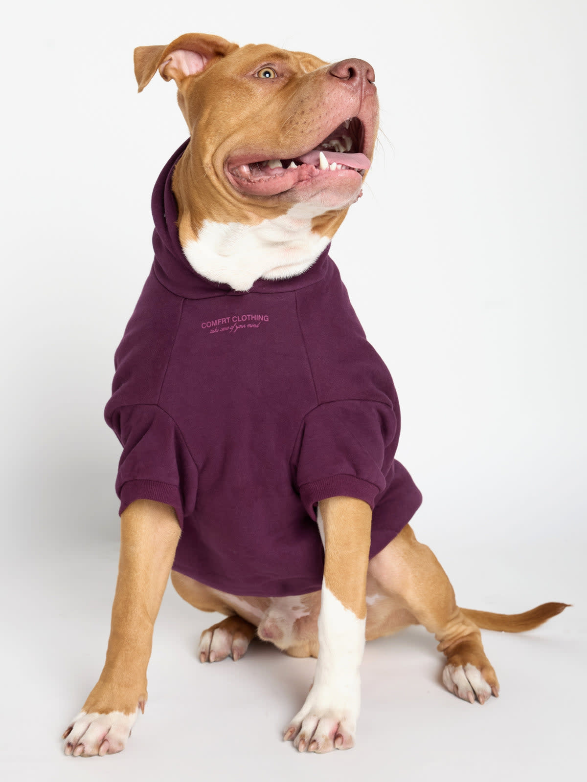 You Matter Paw Hoodie