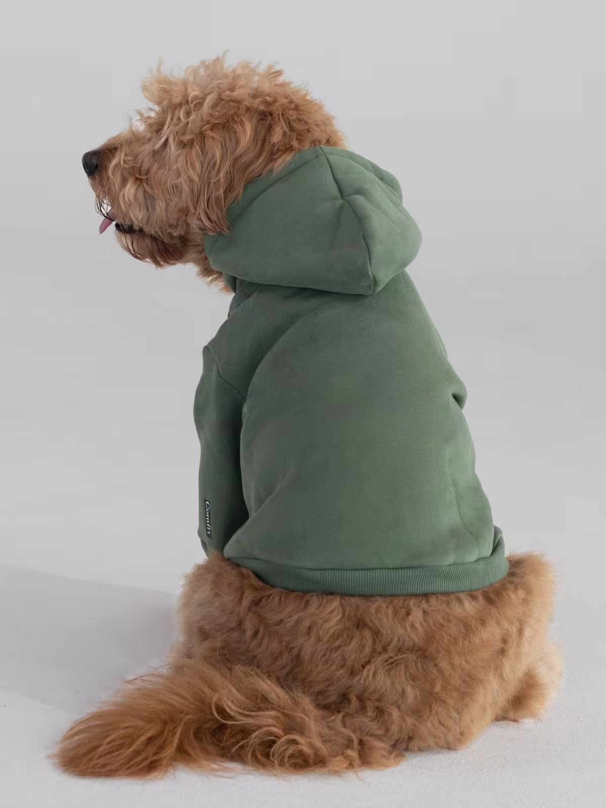 Paws Best-Sellers Bundle