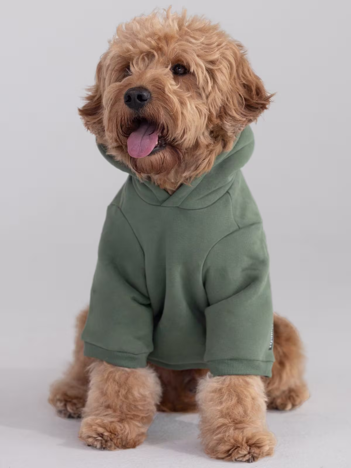 Paws Best-Sellers Bundle