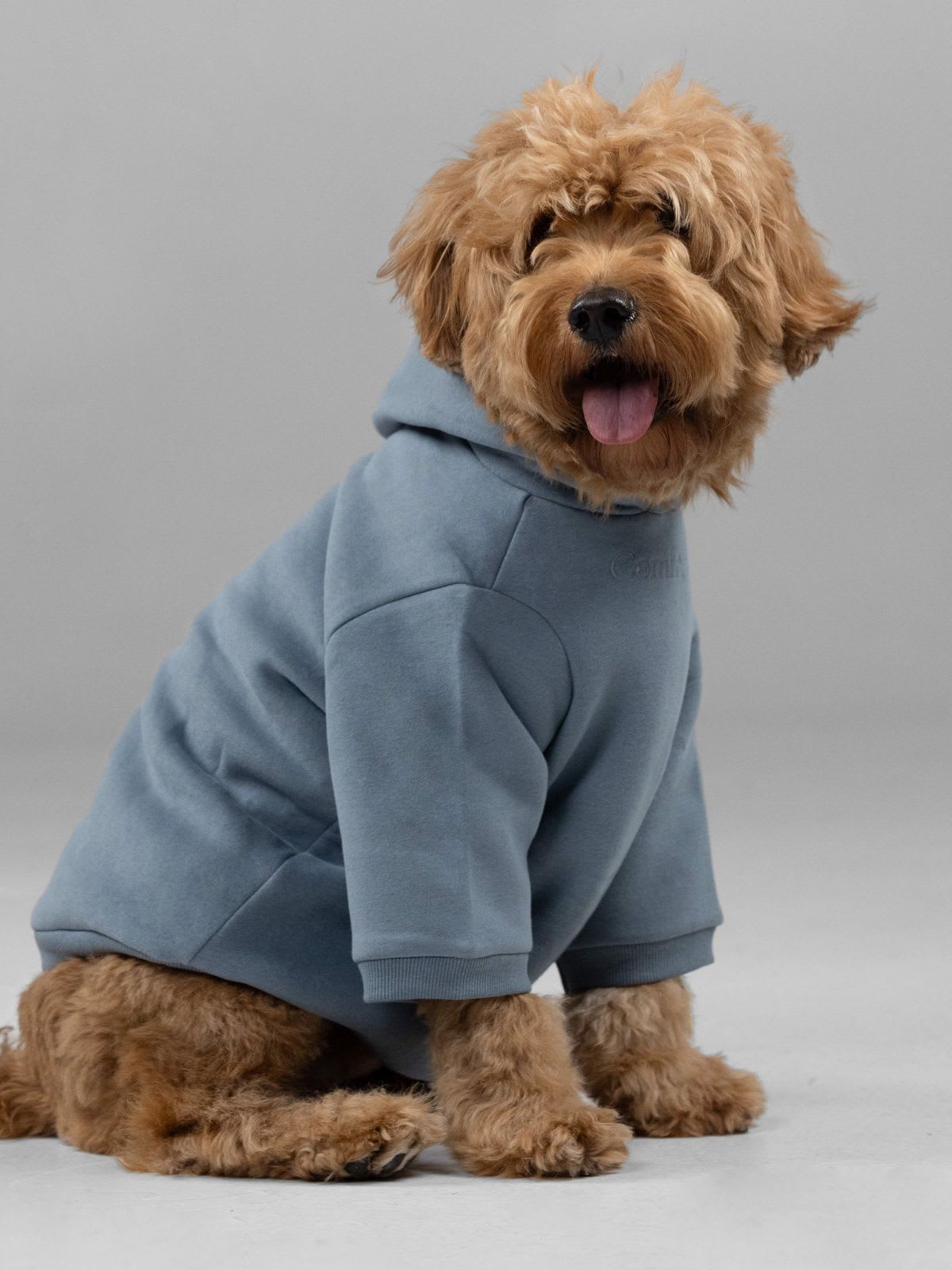 Paws Cozy Everyday Bundle