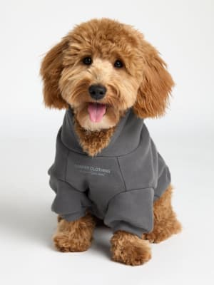 You Matter Paw Hoodie: Theo is wearing a size M