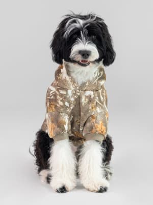 Camo Paw Hoodie: undefined