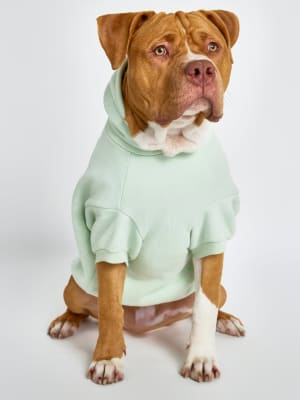 Pastel Paw Hoodie: Kash is wearing a size 4X