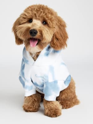 Minimalist Paw Hoodie: Theo is wearing a size M