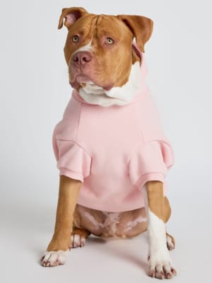 Pastel Paw Hoodie: Kash is wearing a size 4X