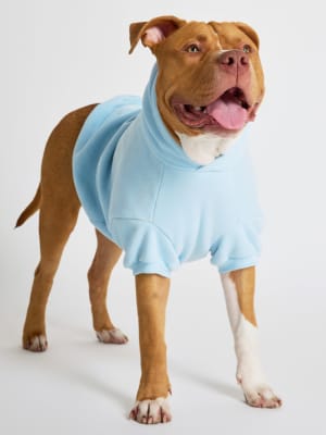Pastel Paw Hoodie: Kash is wearing a size 4X