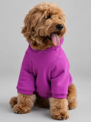 Tranquil Paw Hoodie / Wild Berry