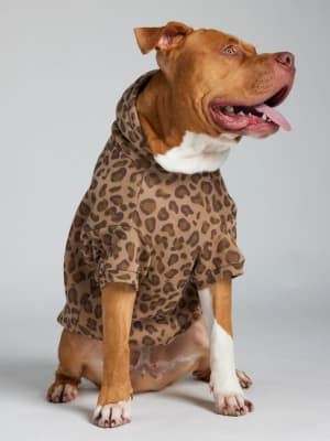Minimalist Paw Hoodie: Kash is wearing a size 4X