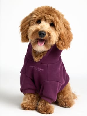 You Matter Paw Hoodie: Theo is wearing a size M