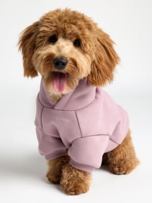 You Matter Paw Hoodie: Theo is wearing a size M