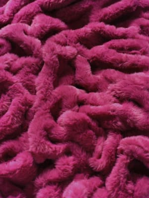 Plum Rose
