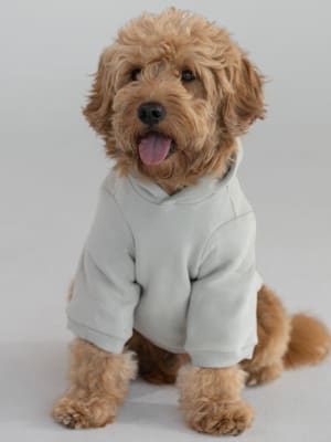 Tranquil Paw Hoodie: undefined