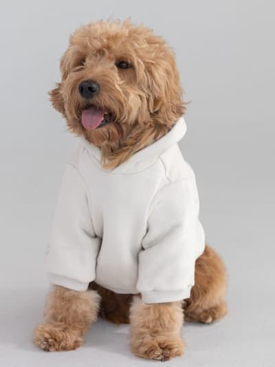 Cotton / Pet