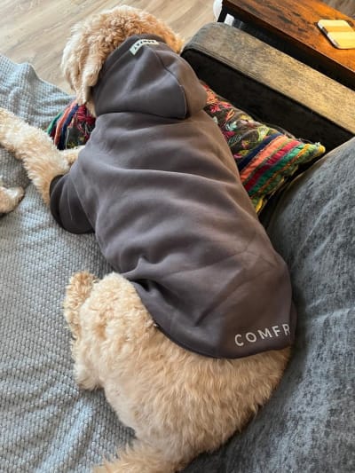Georgia