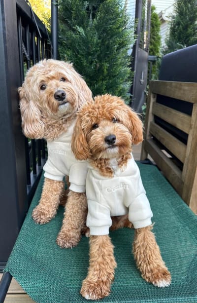 RussyandDiggyDoods