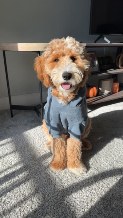 Walter