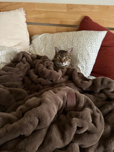 Sam