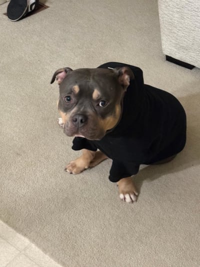 Chloe