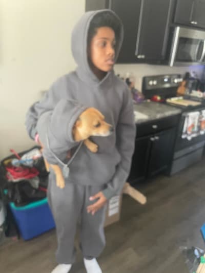 JJ