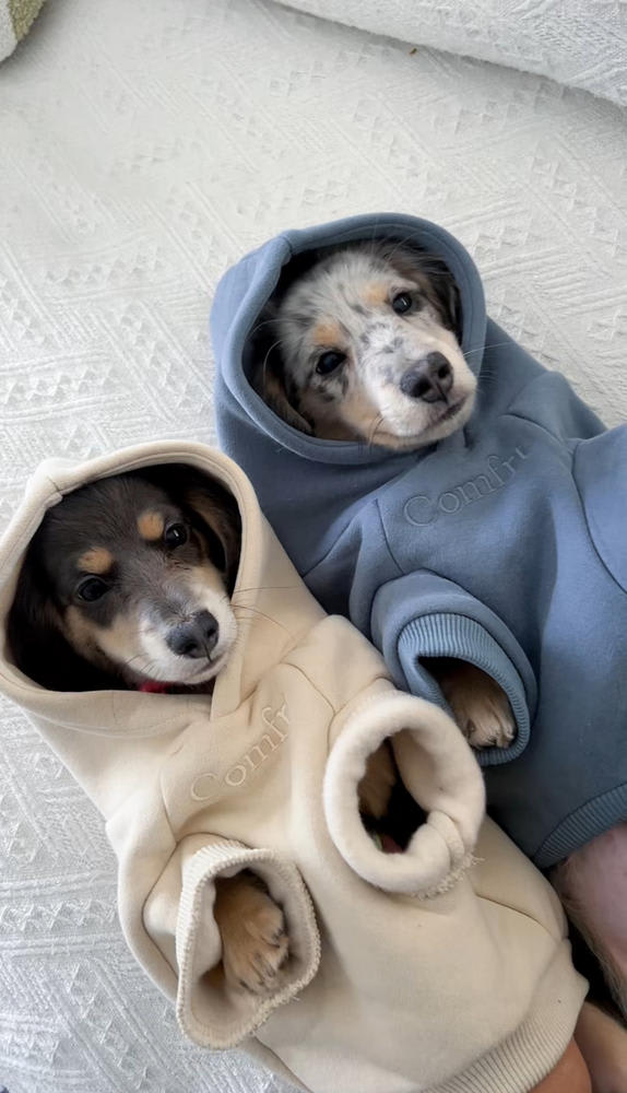 Signature Paw Hoodie Comfrt