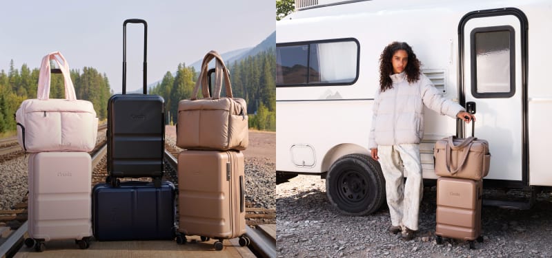 Carry-On Companion Luggage