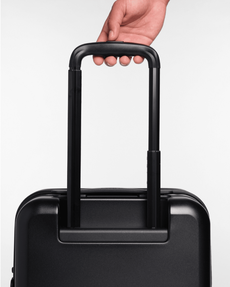 Carry-On Companion Luggage