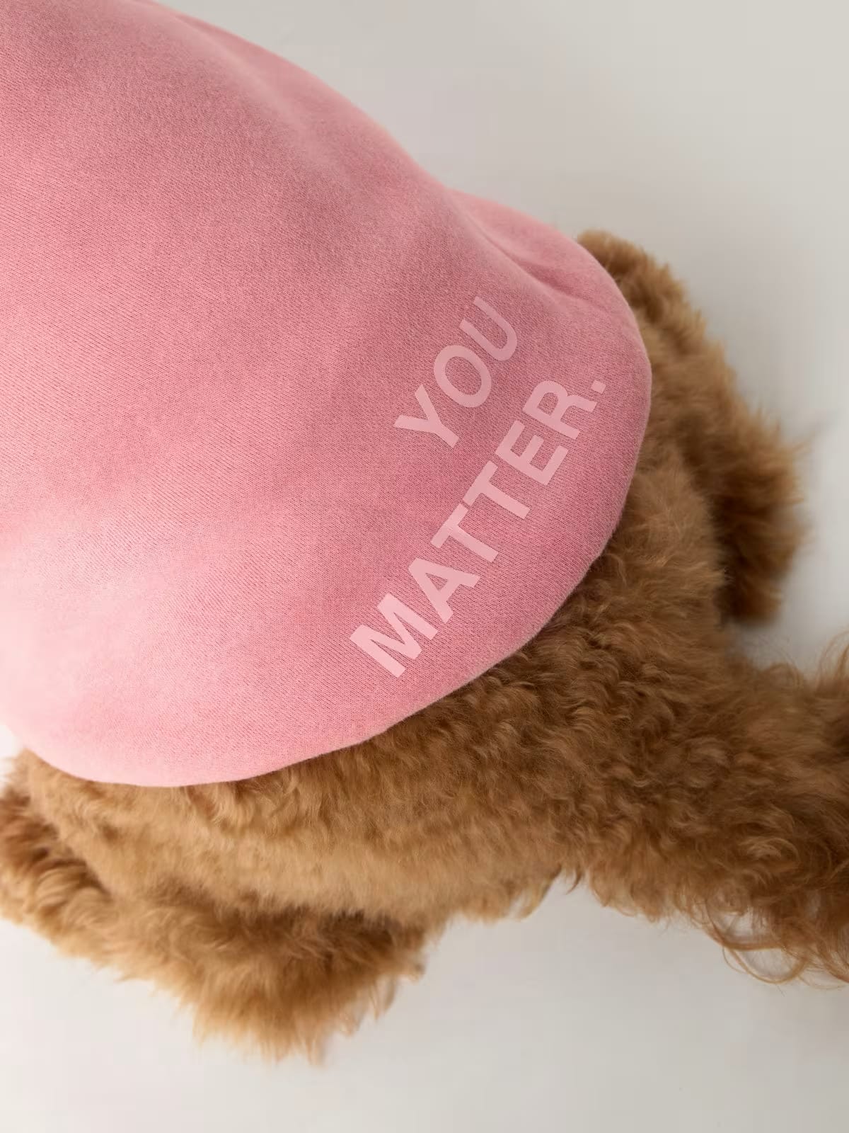 Paws Classics Bundle