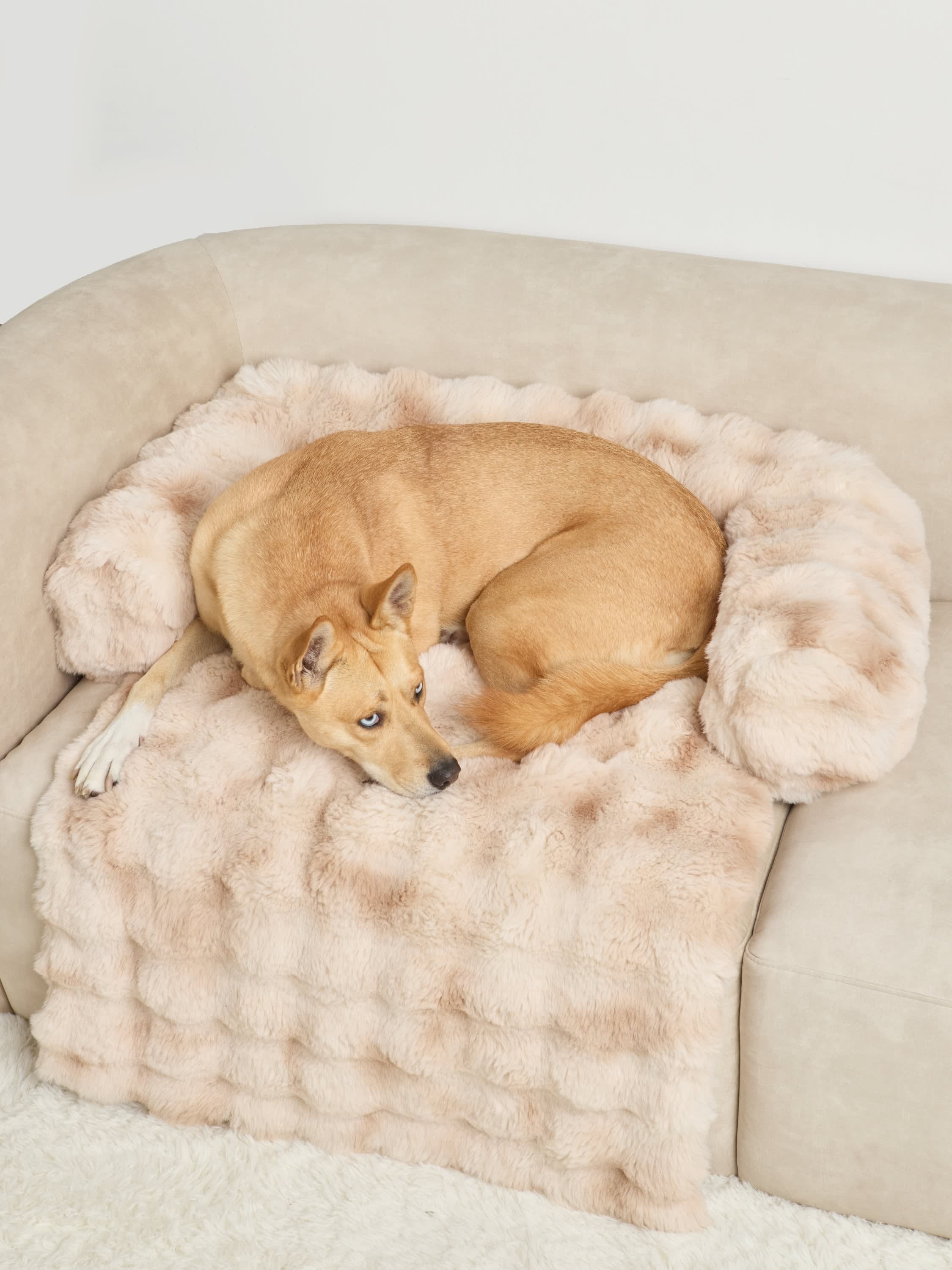 Dream Cloud Pet Sofa Bed — Comfrt