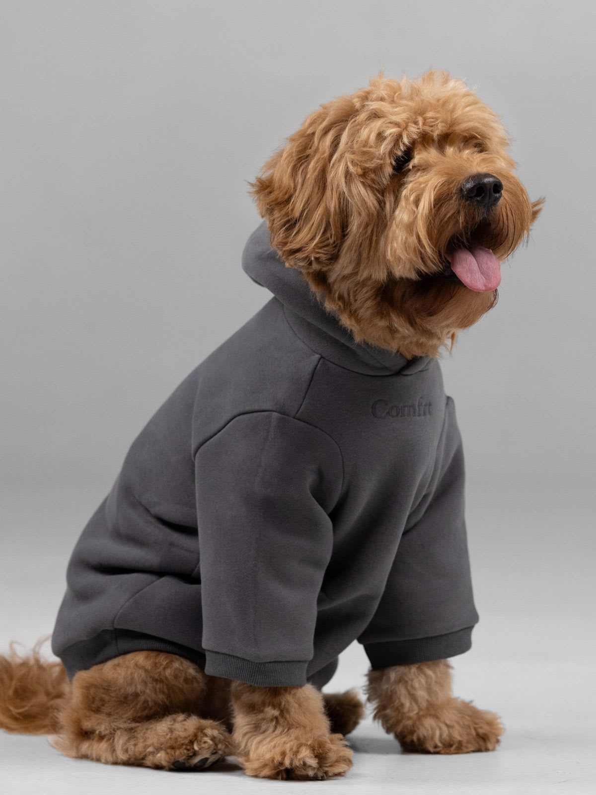 Signature Paw Hoodie — Comfrt